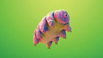 moss piglet