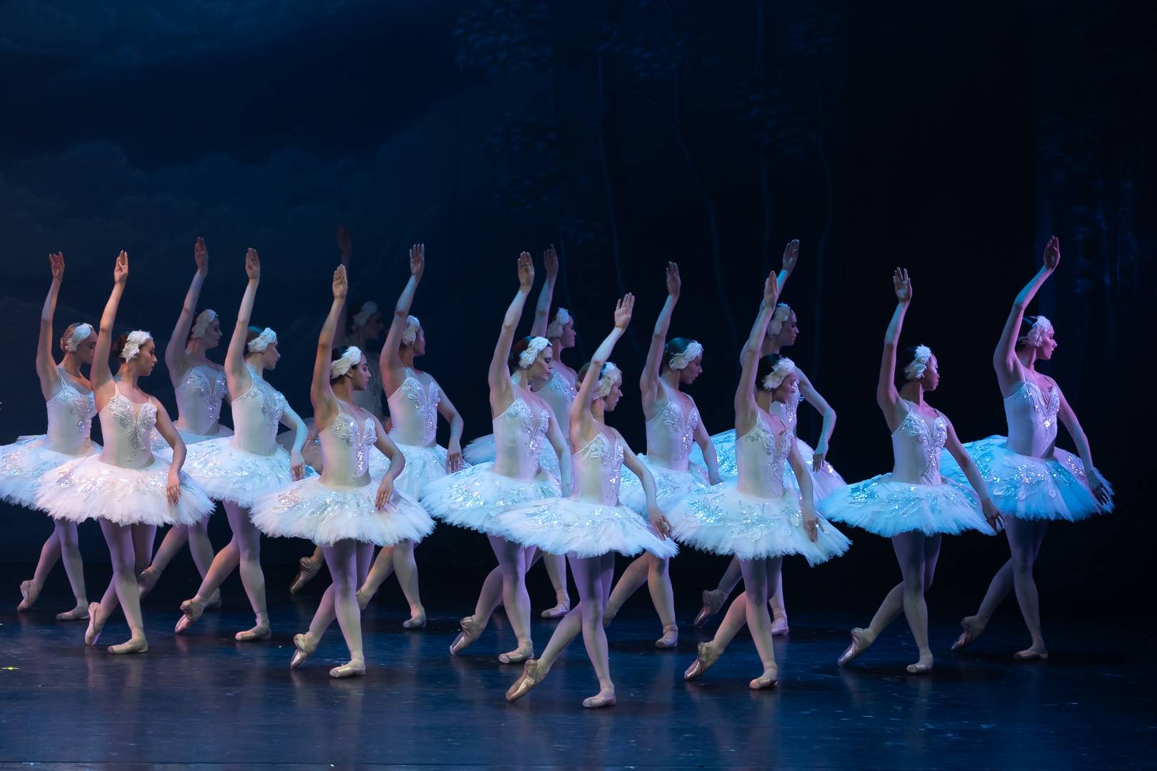 Swan Lake 